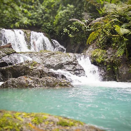 Naguala Jungle Lodge Drakes Bay Екстериор снимка