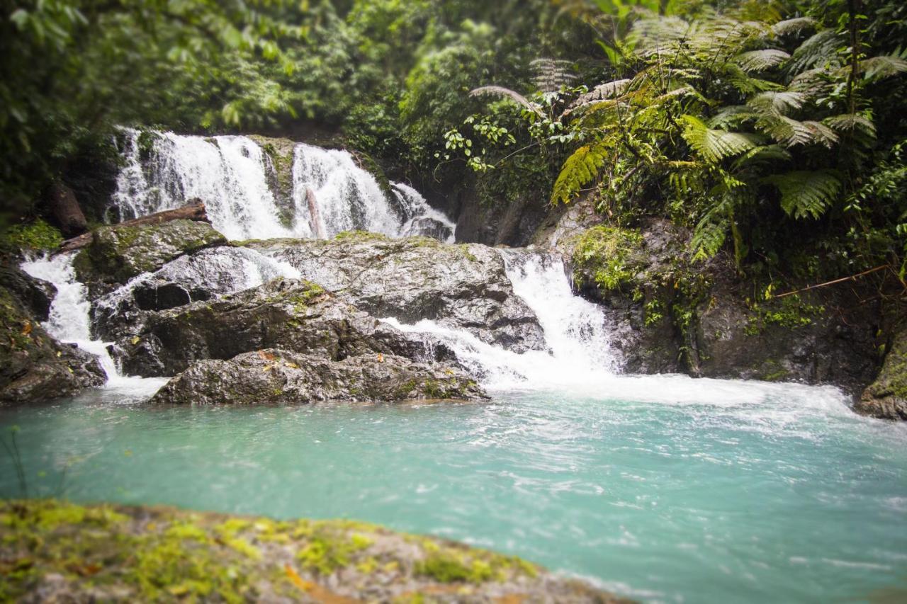 Naguala Jungle Lodge Drakes Bay Екстериор снимка