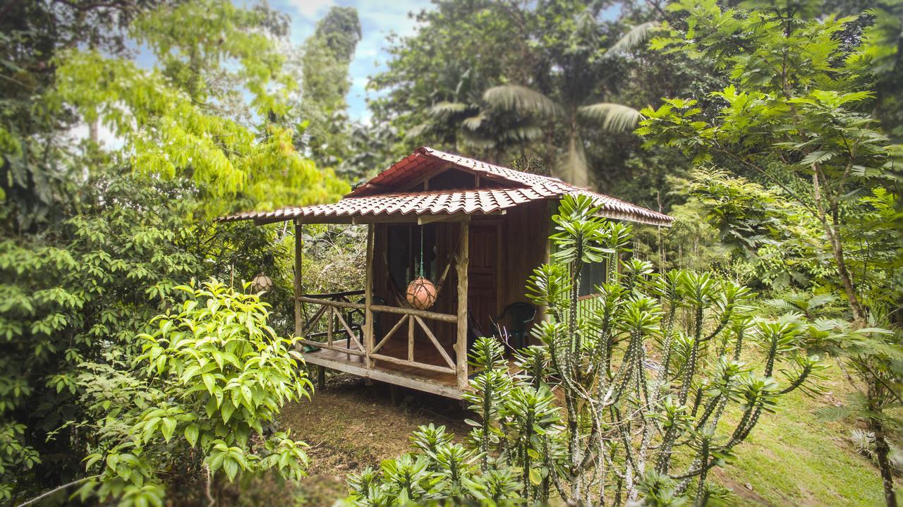 Naguala Jungle Lodge Drakes Bay Екстериор снимка